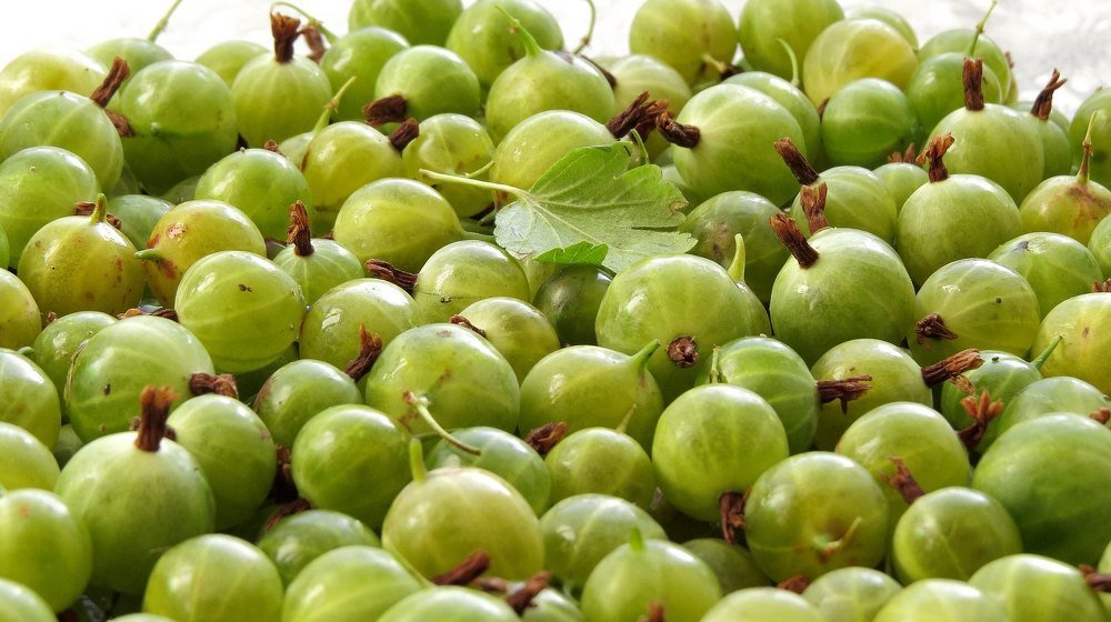 Photograph by Елена Лапина