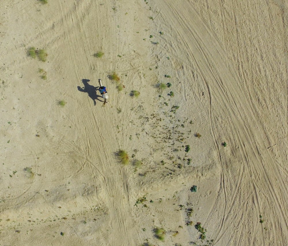 Фотография автора Медведев Сергей