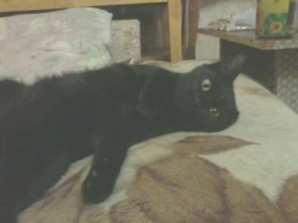 Скорее снимай.