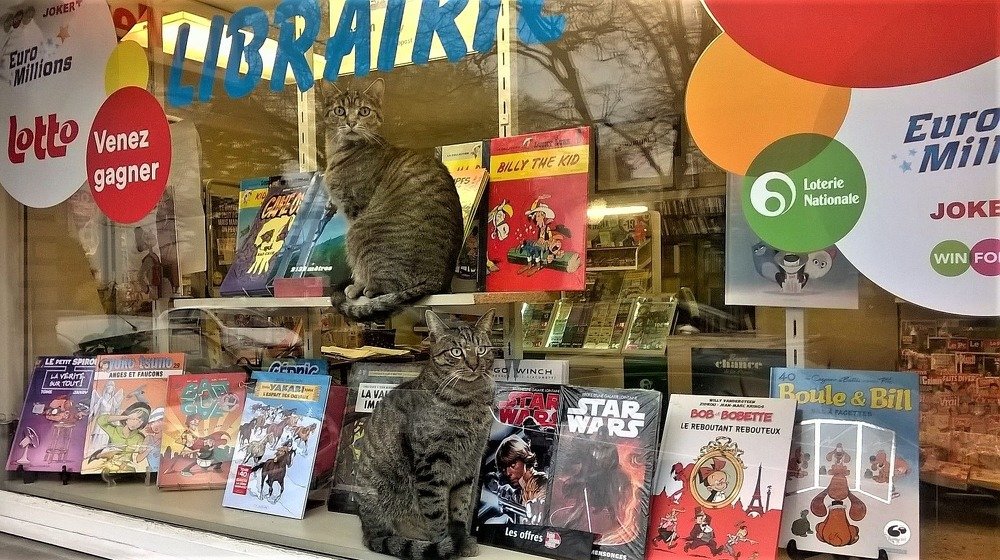 Photograph by Konochonkina