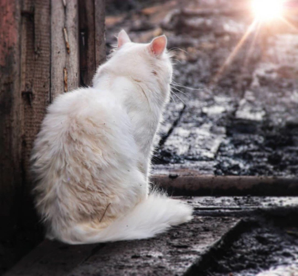 Photograph by Люба Манцурова