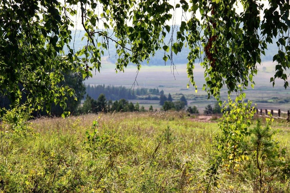 Photograph by Люба Манцурова