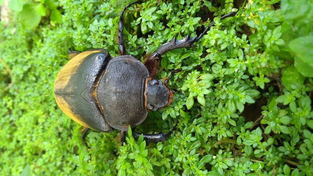 Photograph by Joel Guadron