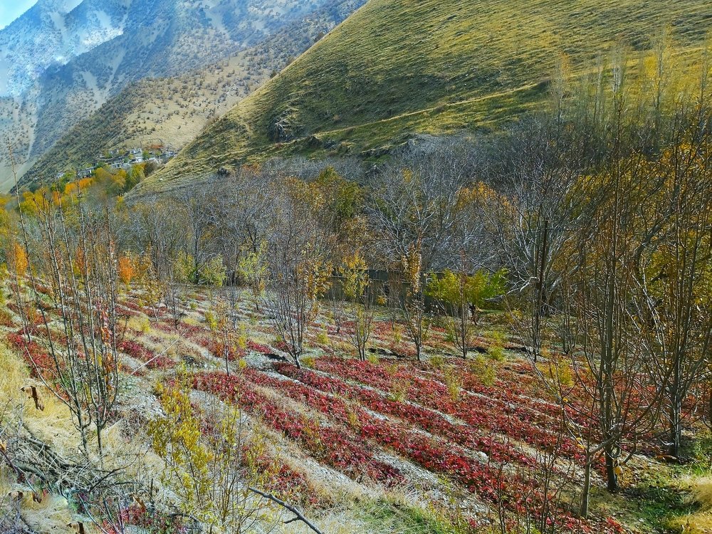 Photograph by Yahya Kakapour