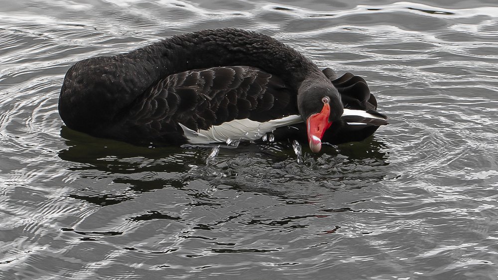 Photograph by Евгений Барзенков