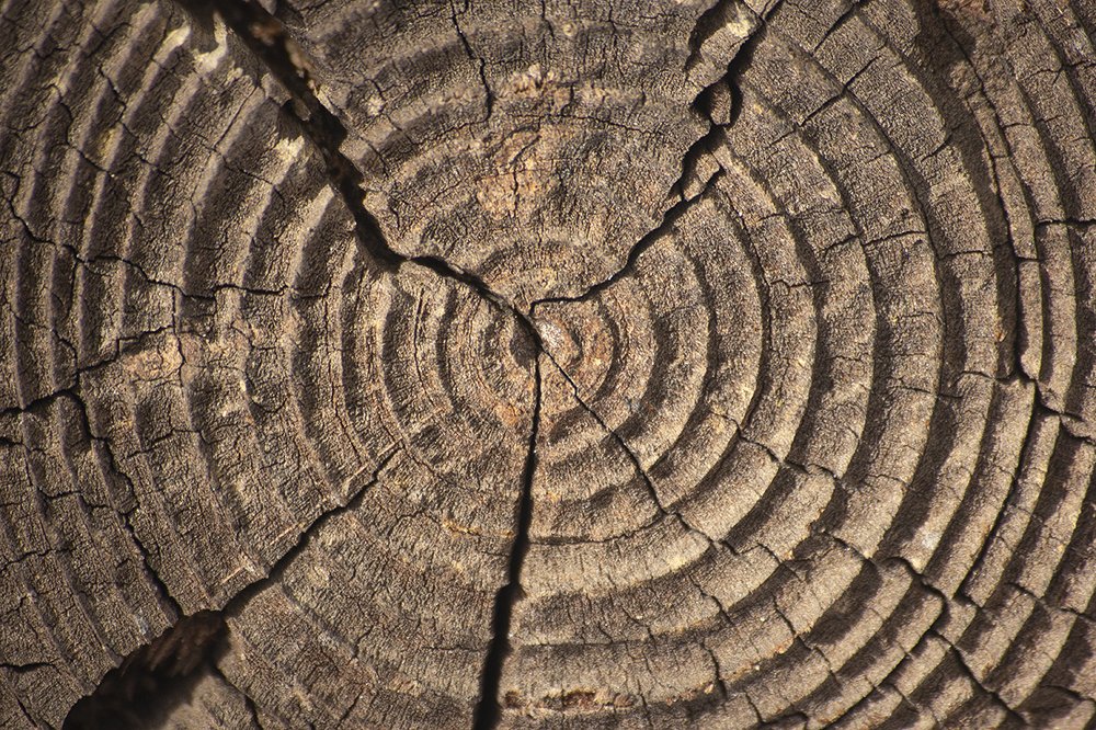 Photograph by Евгений Барзенков