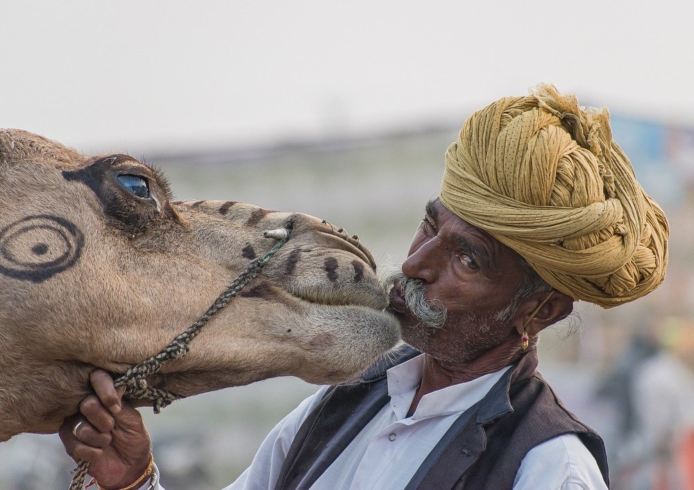 Photograph by Ashish patel