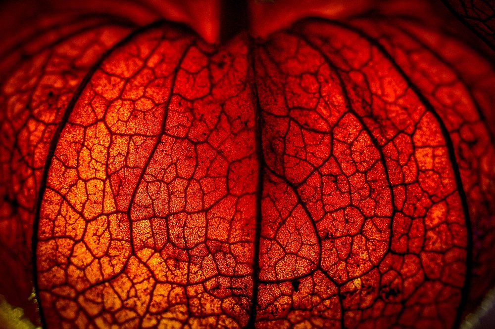 Photograph by Sergey Uskov