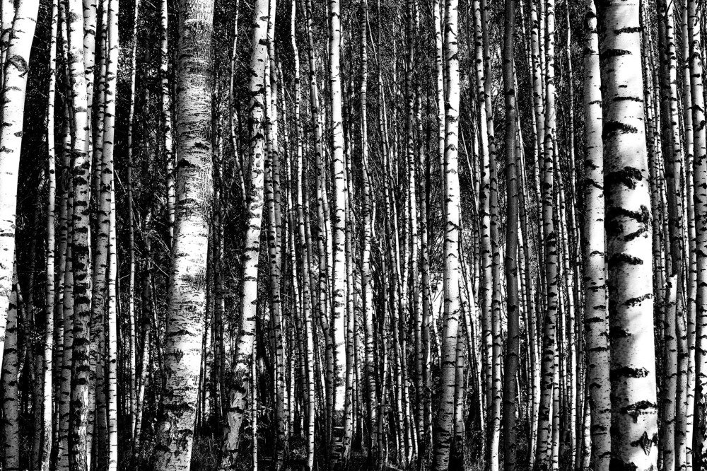 Photograph by Sergey Uskov