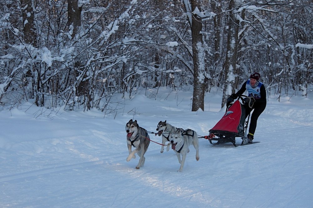 вперёд  к победе