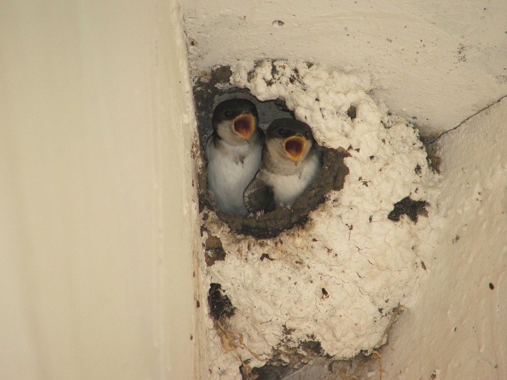 Фотография автора Владислава Андрюнина