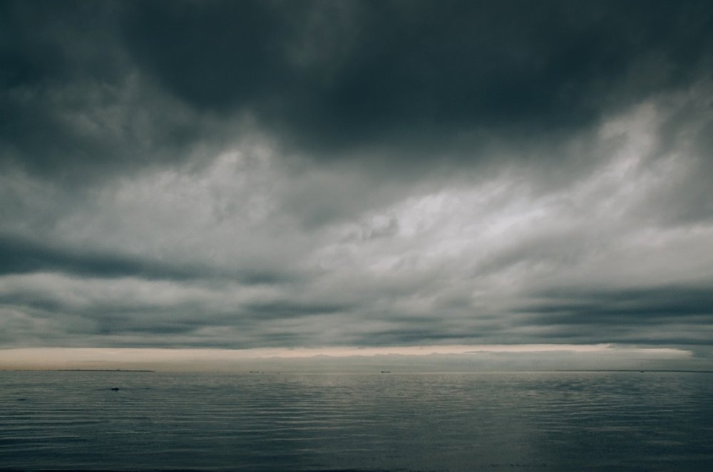 Photograph by Сафронова Любовь