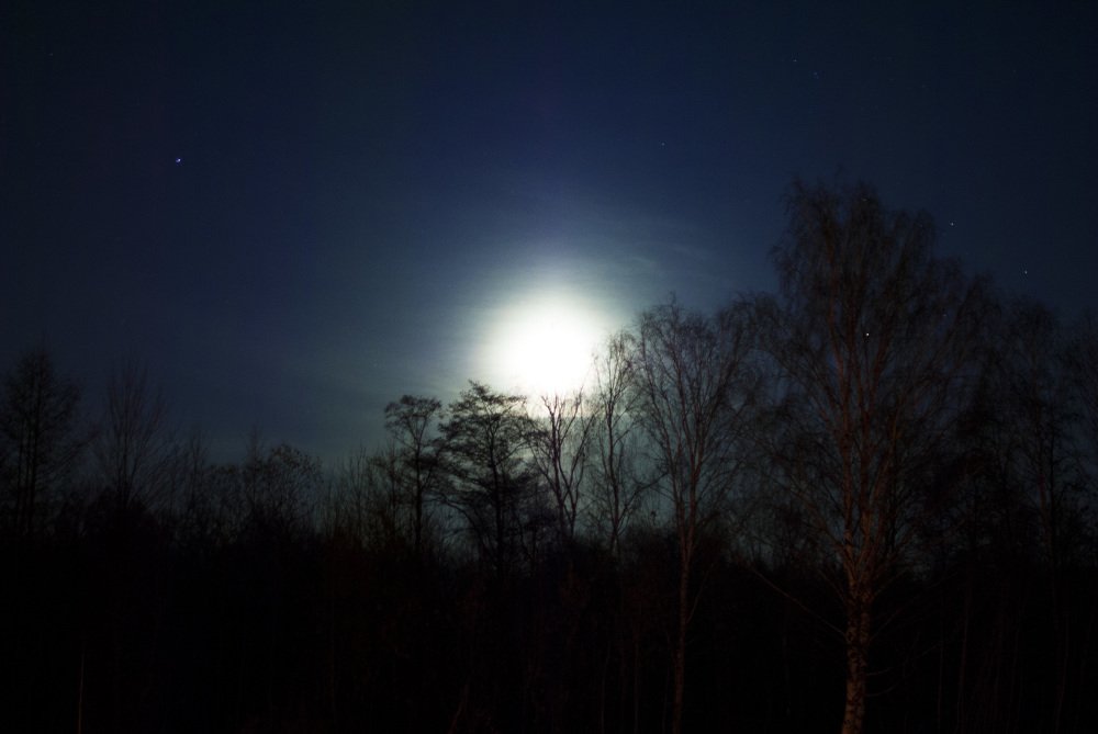 Photograph by Алексей Акулин