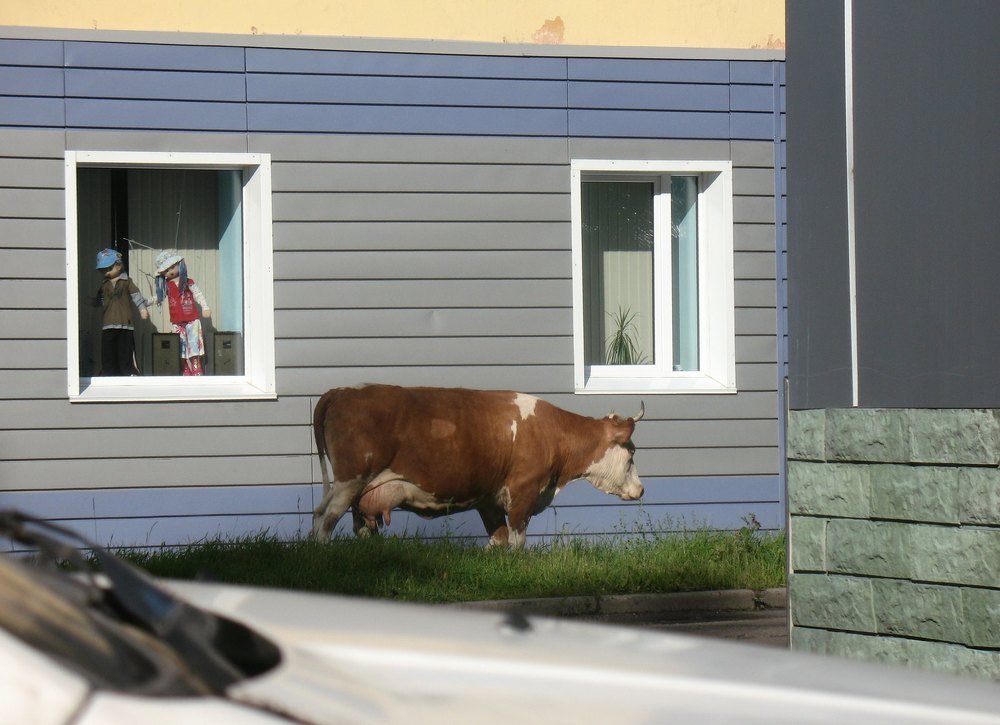 Photograph by Елена Лапина