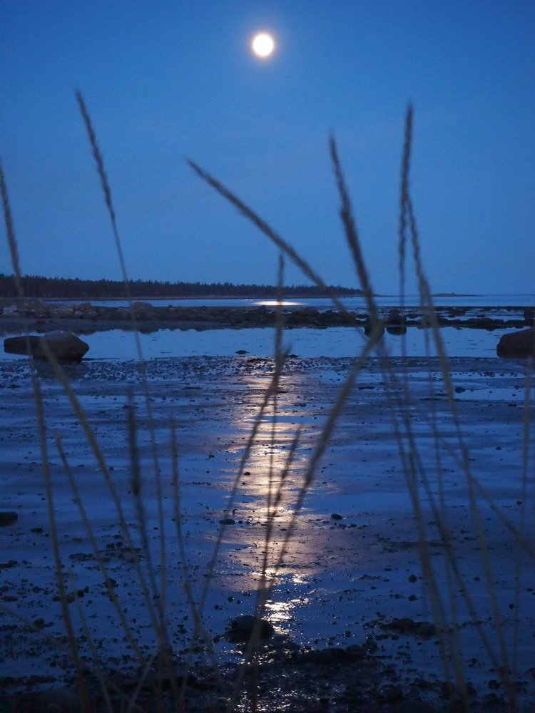 Photograph by Евгений Яковлев