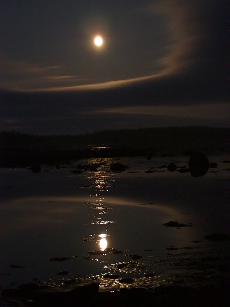 Photograph by Евгений Яковлев