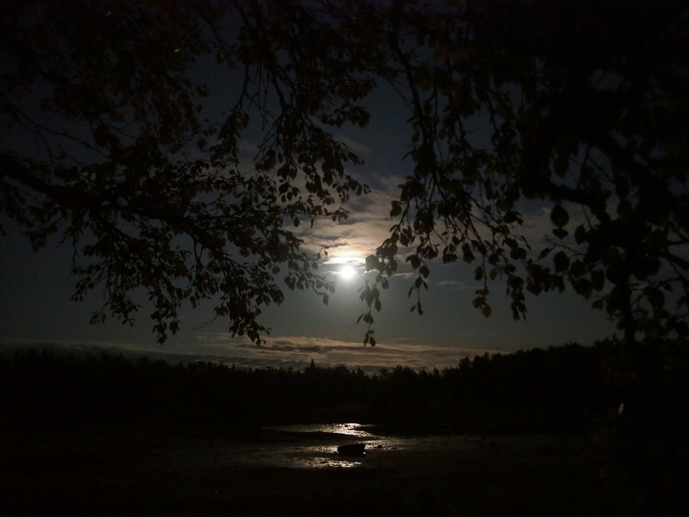 Photograph by Евгений Яковлев