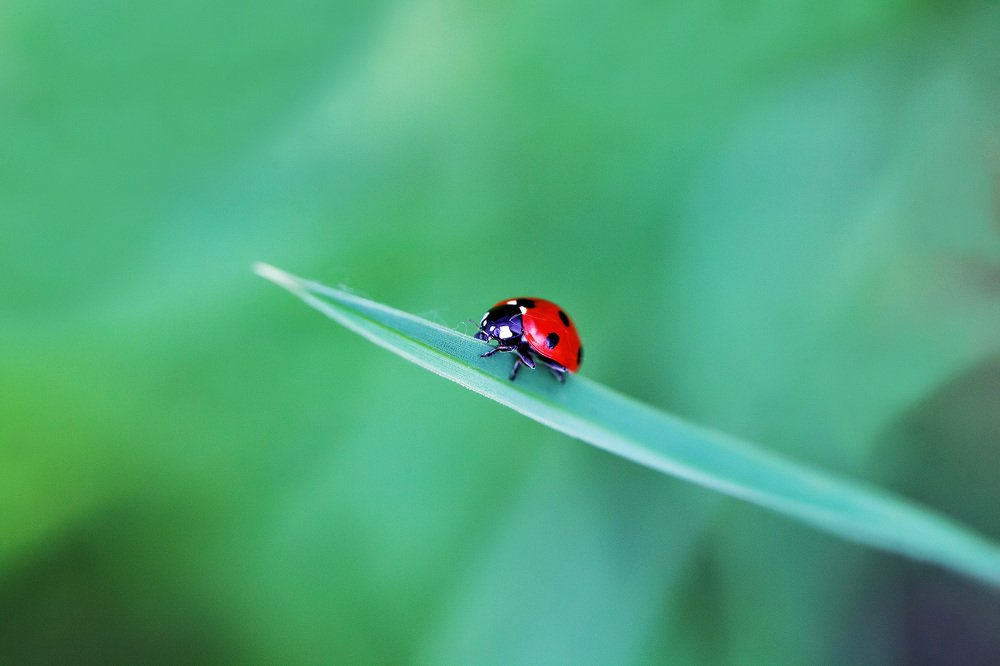 Photograph by Петр Вербицкий