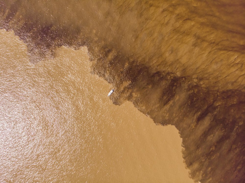 Фотография автора david xavier de carvalho