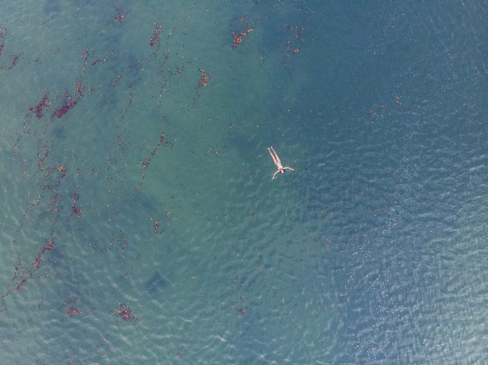 Фотография автора david xavier de carvalho