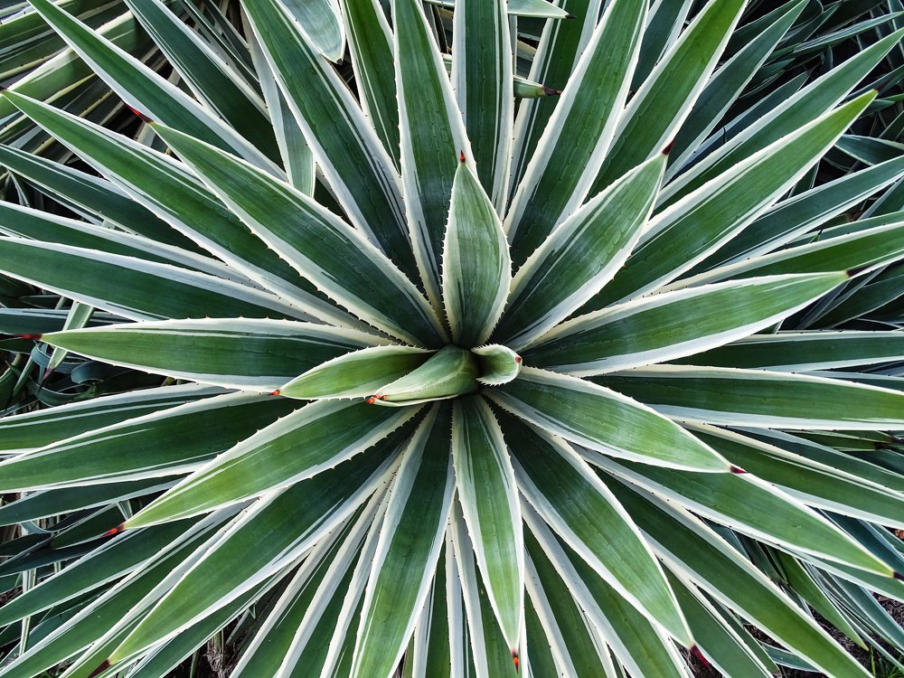 Photograph by Vladislav Kutepov