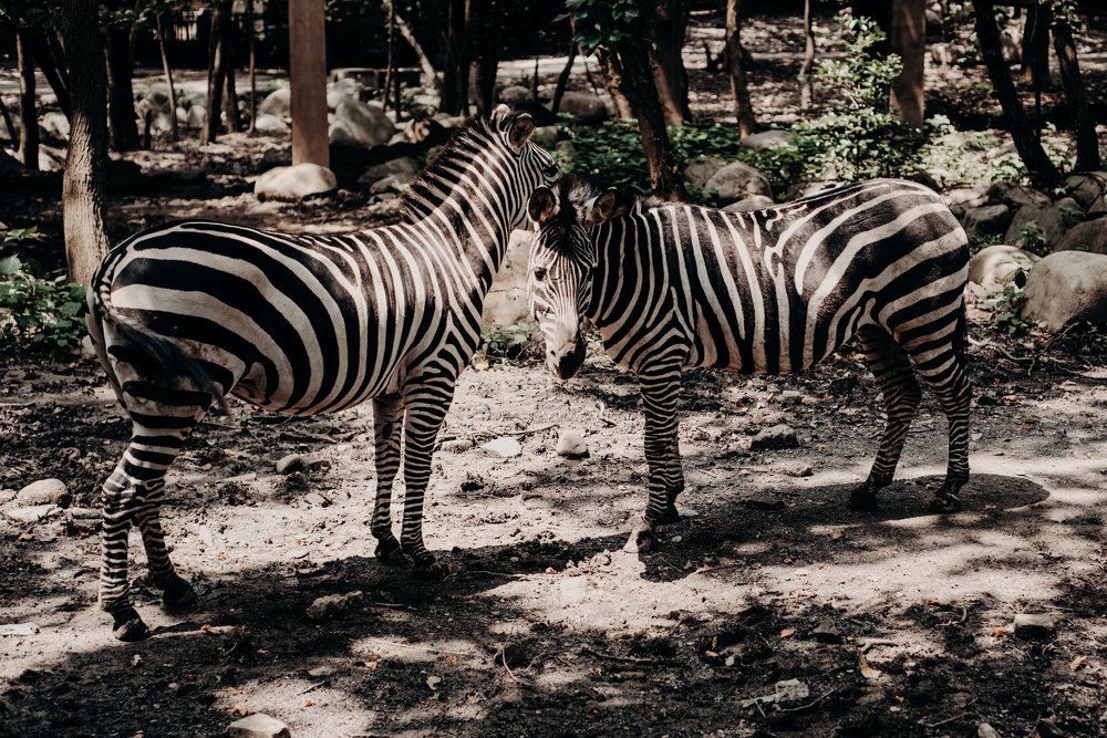 Photograph by Alexander Kovalenko