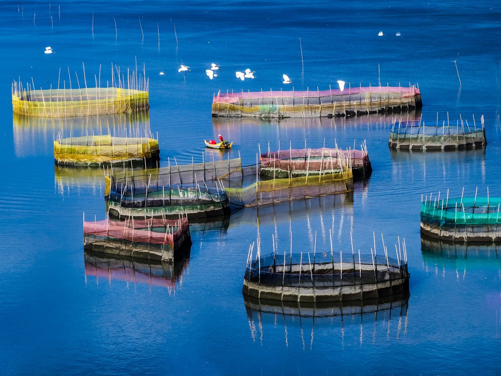 Colorful fishing net