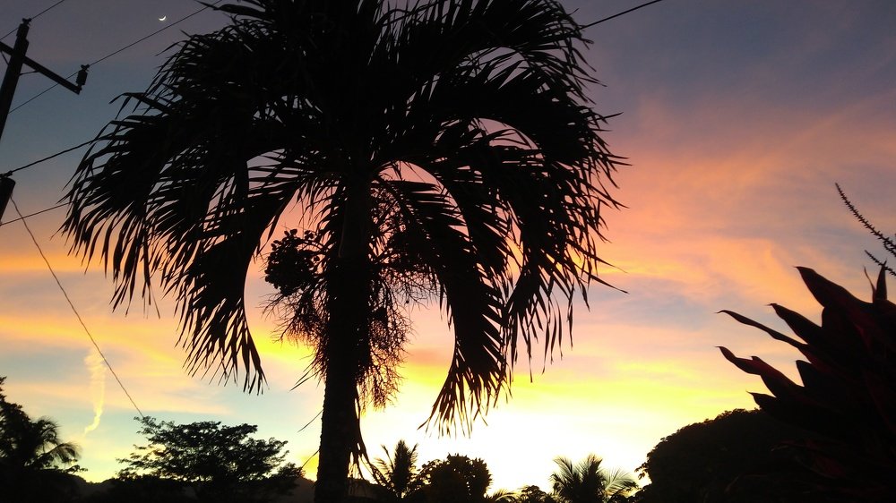 Photograph by Joel Guadron