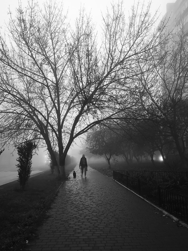 Photograph by Елена Николаева