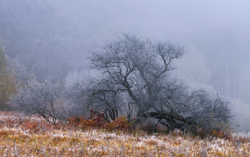 Photograph by Олег Скан