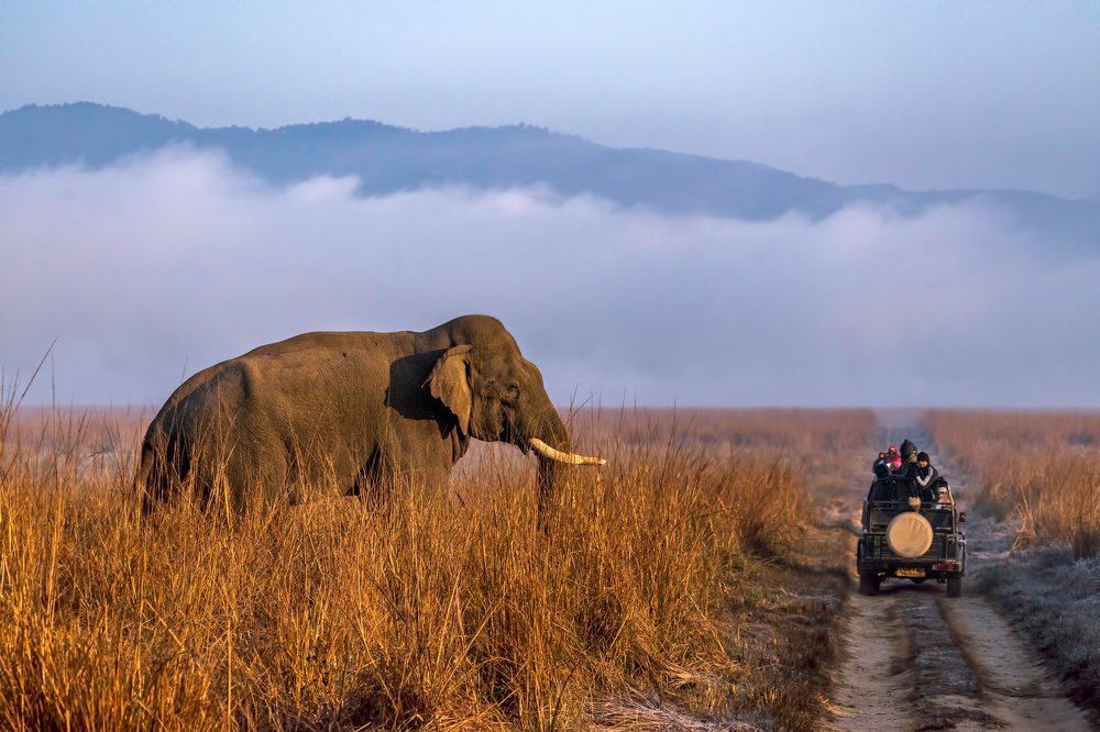 Photograph by Antarjit Singh