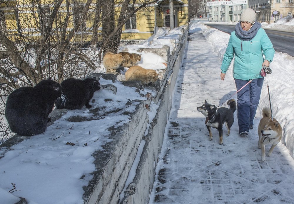 Photograph by Александр Вярчиев