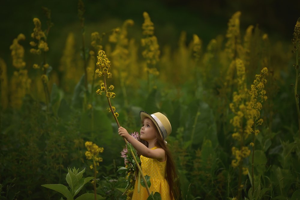 Photograph by Надежда Каминская