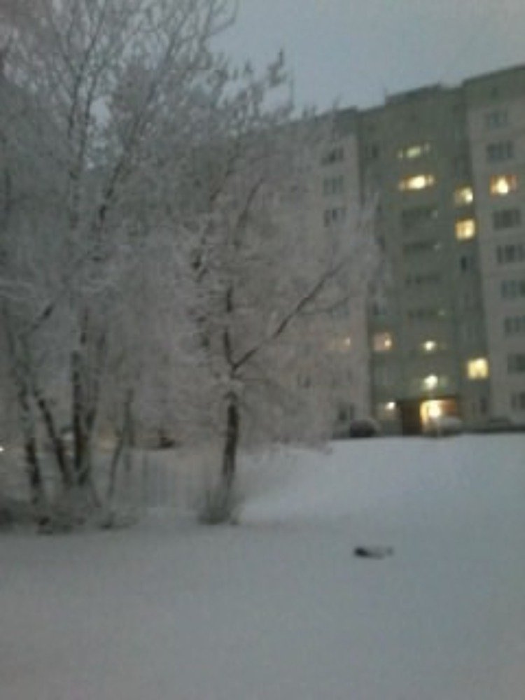 Photograph by Светлана Токтеева