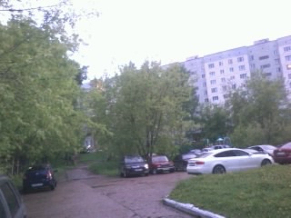 Photograph by Светлана Токтеева