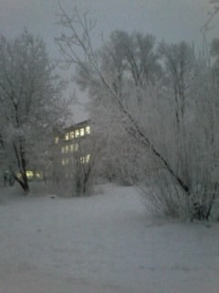 И в морозы учимся.