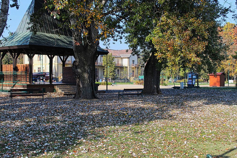 Photograph by Sandor Zoltan Gal