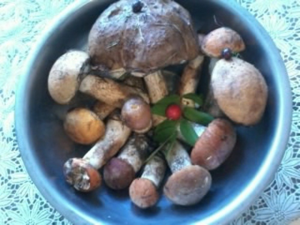 Сидим по кругу.