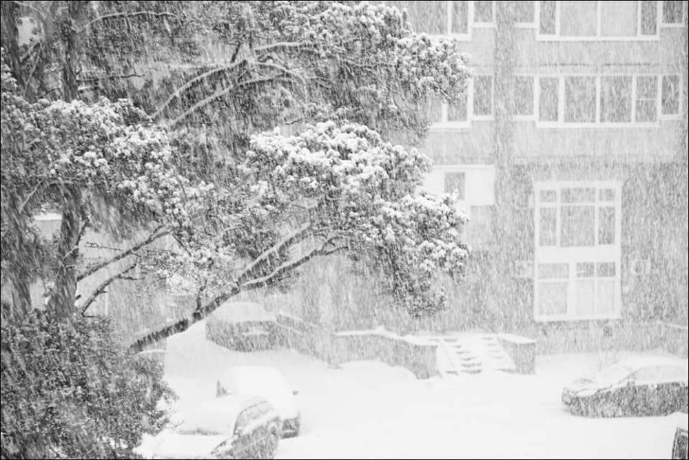 Photograph by Крицак Ольга