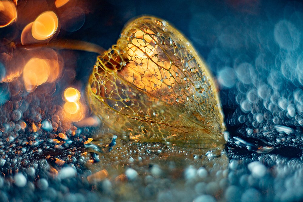 Photograph by Иван Радьков