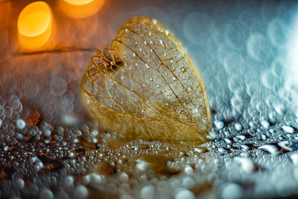 Photograph by Иван Радьков