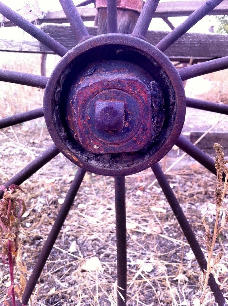 Photograph by Allison Scruggs