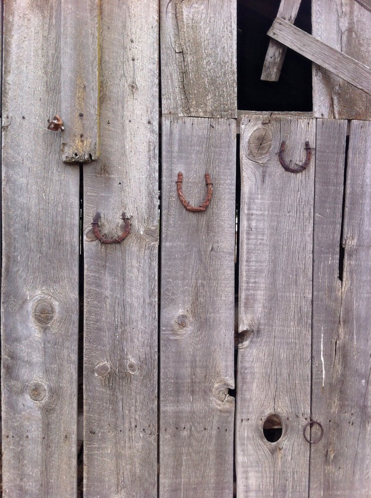 Photograph by Allison Scruggs