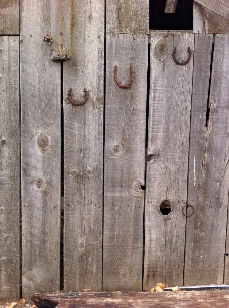 Photograph by Allison Scruggs