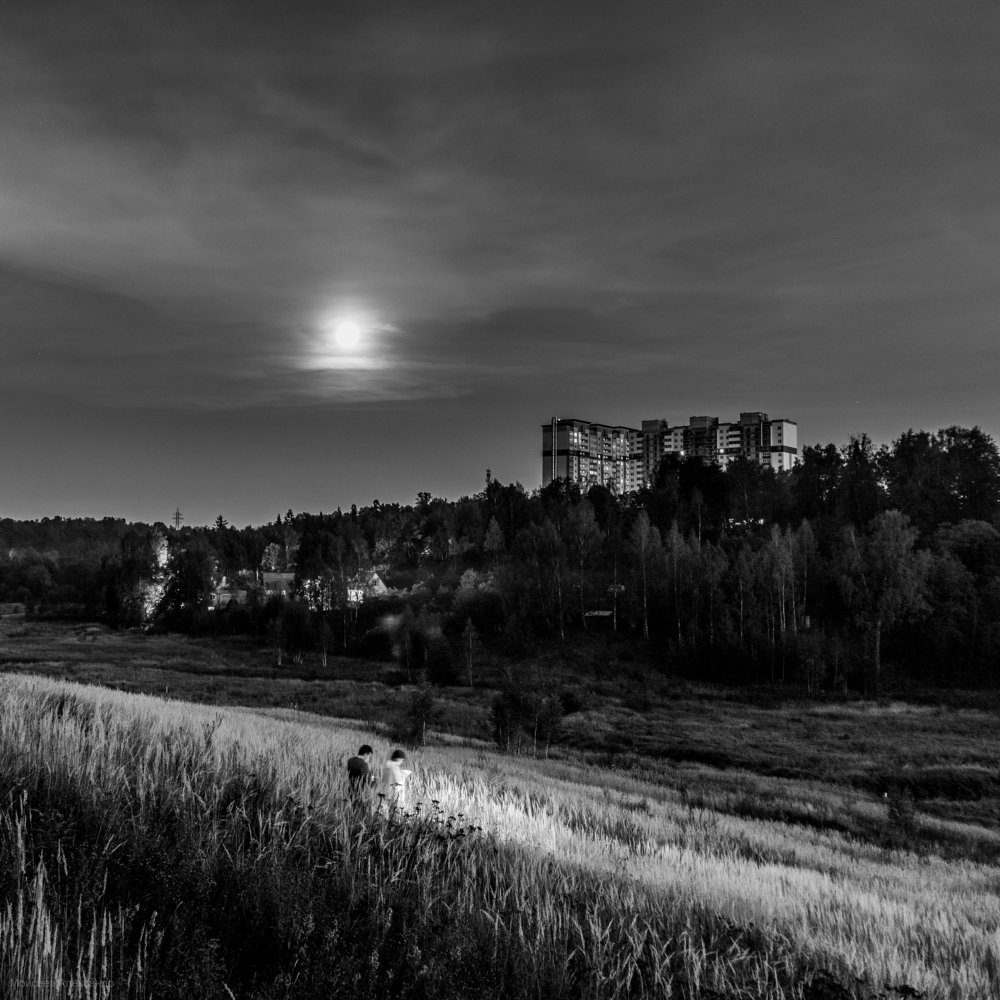 Photograph by Александр Моисеев