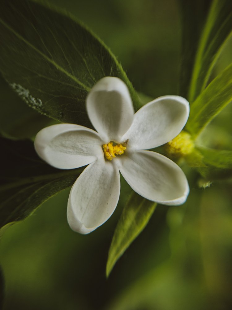 Photograph by Зайнаб Шукурова