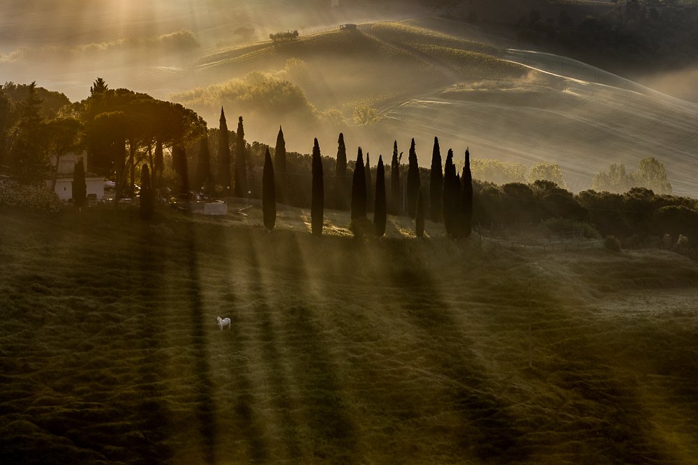 Photograph by Jerzy Safijański