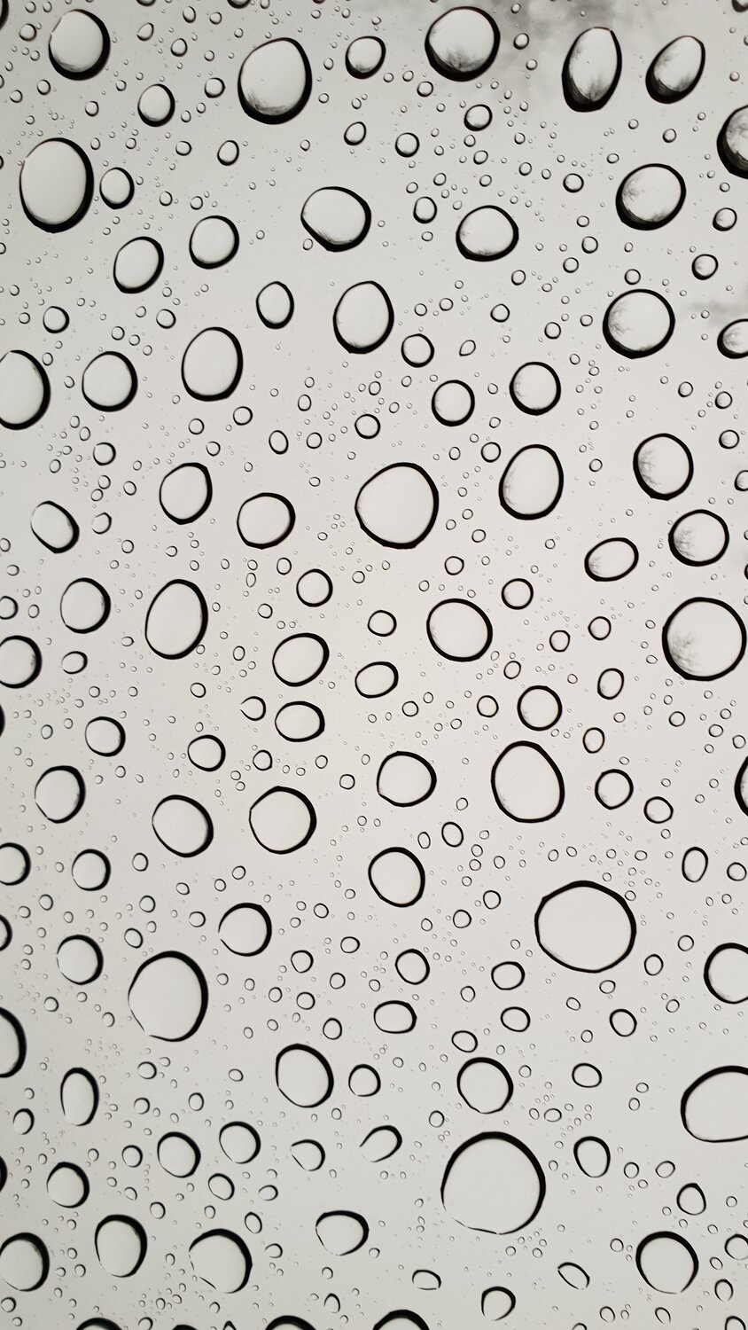 Photo #3961322
