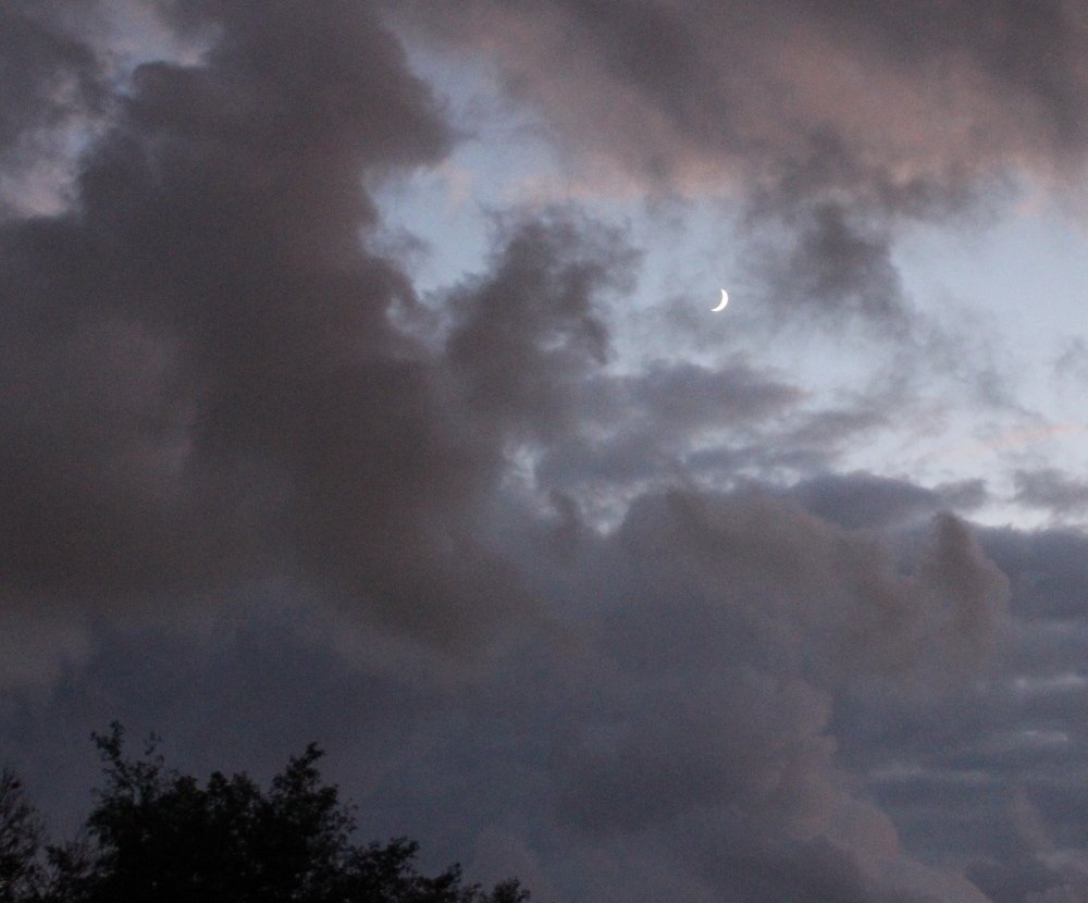 Photograph by Николай Немчанинов