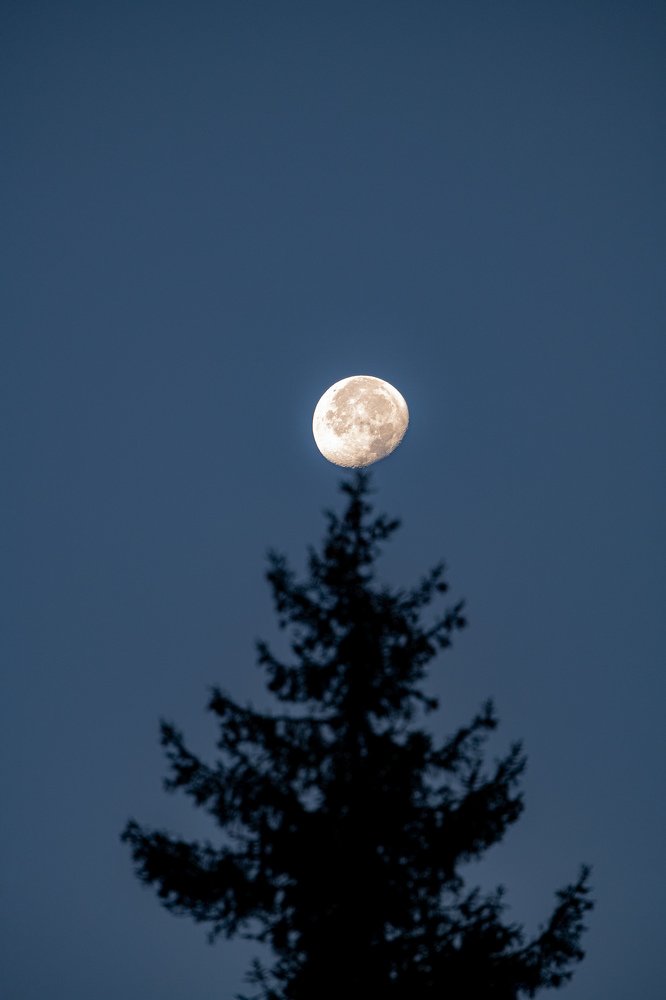 Photograph by Ilya Kartchevski